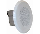 Громкоговоритель DNH BAREEX-36T