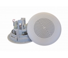 Громкоговоритель DNH BP-560T