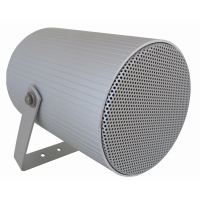 Громкоговоритель DNH CAP-15WT