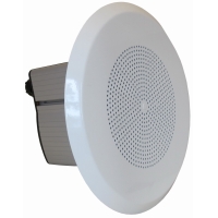 Громкоговоритель DNH BAREEX-36T