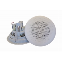 Громкоговоритель DNH BP-560T