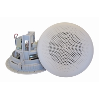 Громкоговоритель DNH BP-660T